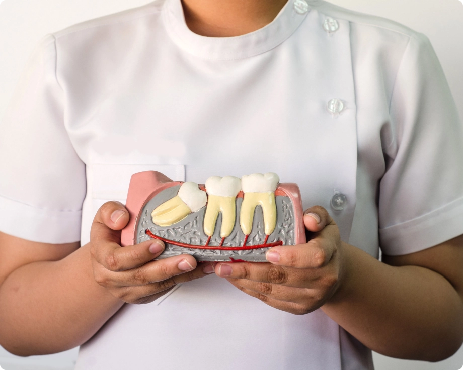 Woman holding dental illustration